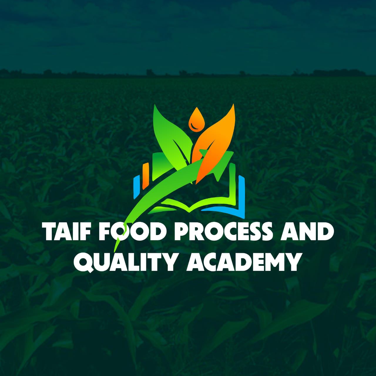 TAIF LOGO